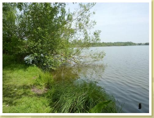 Brunemont_05.05.2011 (7)